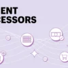 Payment Processors