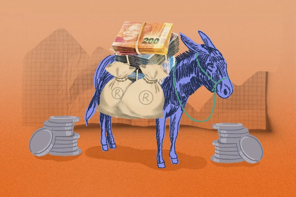 Money Mule Accounts