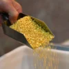 gold reserves